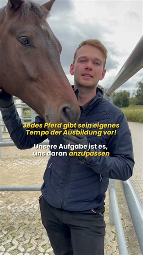 Dein Pferd braucht sein eigenes Tempo – und das ist okay 🧡
