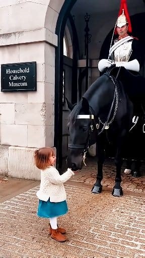 Wholesome London Moment- A Girl and a Gentle Guard Horse #horsefans #StylishHorse #viral | Peter Record