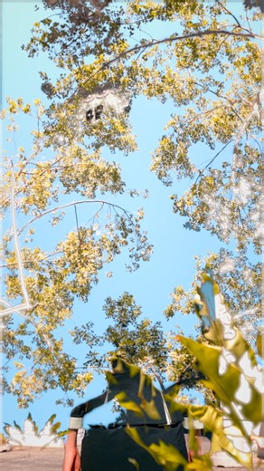 40K views · 5.7K reactions | EVAAIR Journeys - Taipei 「Home,where the...