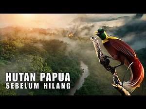 Papua's Forests: Earth's Last Bastion Against Climate Apocalypse