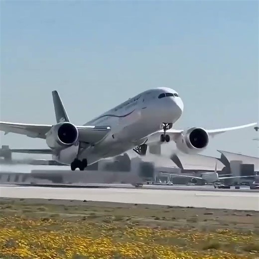 Amor Falso, Herança Verdadeira #viralvídeos #fypシ゚ #foryou