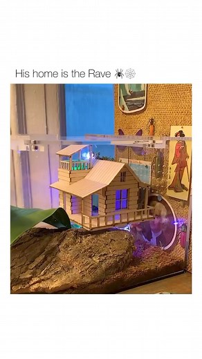 Spider Rave 🕷️ ID Yussi - Go On 👈 #drumandbass #dnb #music #dance #dnbmeme #rave #festival | DNBActive