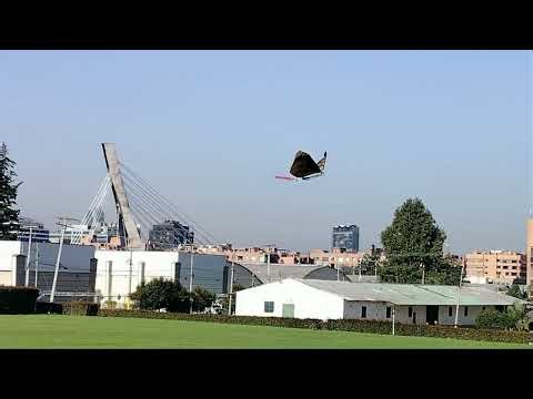Flapping like Bird Robot - Ornithopter