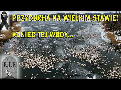 (rip) PADŁO WSZYSTKO - NIE ŻYJE WODA DZIECIŃSTWA :( przyducha nie oszczędziła!