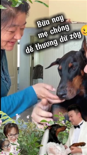 Ối dồi ôi🤣