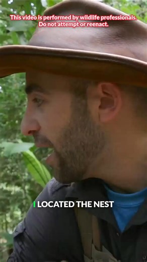 36K views · 302 reactions | The time we got leafcutter ants in our pants! 藍 #ants #hilarious #behindthescenes #coyotepeterson | Coyote Peterson | Facebook