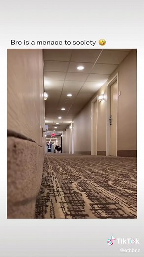 The ending 😂😂💀 #xyzbca #viral #foryoupage #foryou #fyp #tiktok memes meme slideshow memes slideshow tweets tweet memes funny tweets