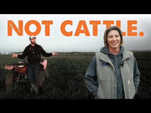 Why Running Riomax® + Rhyzogreen® Is a No-Brainer