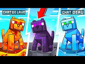 5 CHATS SUPER RARES dans MINECRAFT !