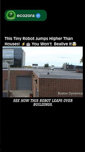 Meet Sand Flea 🤯 The Wall-Jumping Robot! 🚀 #robotics #technology #innovation #future #science