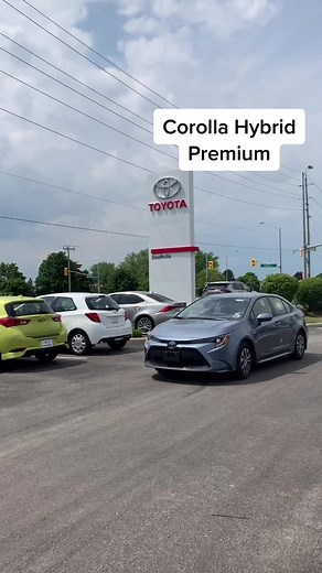 Celestite Corollas: Explore the LE, SE, and Hybrid Models