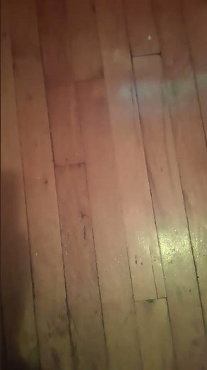 VIDEO 1308 GOODNIGHT MESSAGE