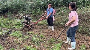 The process of releasing water through pipes into the field and plowing the seedling field | Family Farm Life