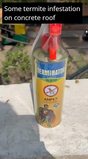 Terminator Eco-Friendly Termite Killer Spray | Termite, Borer and Insect Repellent Home & Offices