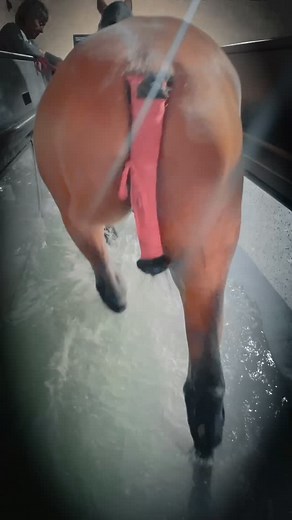 Think of the water treadmill as controlled gym work. Rhythm stays...