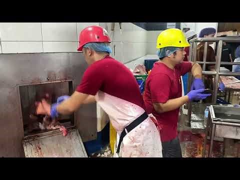 Evisceration process (performed at Meat Experts Professionals Incorporated) “AA” slaughterhouse