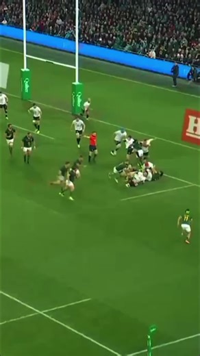 Explore Springboks Rugby Highlights and Updates