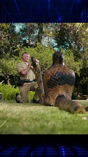 This Man found a GIANT Snake, near his Work, but when he saw what was inside, he was Horrified! #usa🇺🇸 #usa🇺🇸🇺🇸 #usa🇺🇸🇺🇸🇺🇸 #louisiana #snake #giantsnake #snakes