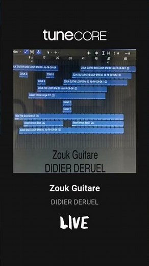 Zouk Guitare By @didierderuel
