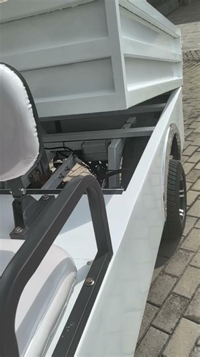 2 Seater Utility Golf Cart with Carriage