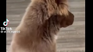 v10044g50000cn9s437og65i7jcfvnrg