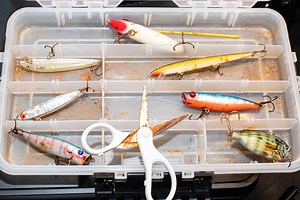Learn How To Keep Your Fishing Lures From Rusting