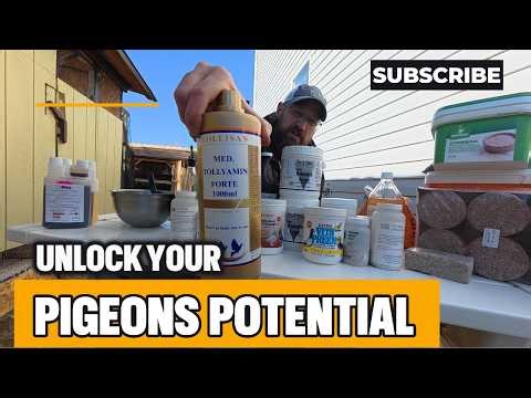 BREEDING SUPPLEMENTS 2026