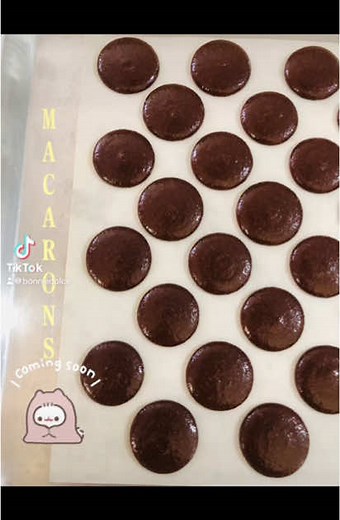 Bonnie Dolce Macarons: Discover Flavors Like Never Before