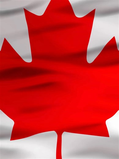 Looking for a high-demand career in Canada? Cyber Security, Healthcare, Business, Law, Marketing & more These careers are in demand, well-paid, and offer real growth in Canada 🇨🇦 Choose smart. Build your future today. Your future can start today. ✅ Free Registration & Consultation ✅ All courses eligible for Government Funding. #canadacareers #canadalife #studycanada #ontario #funding #foryou #foryoupage #careergrowth