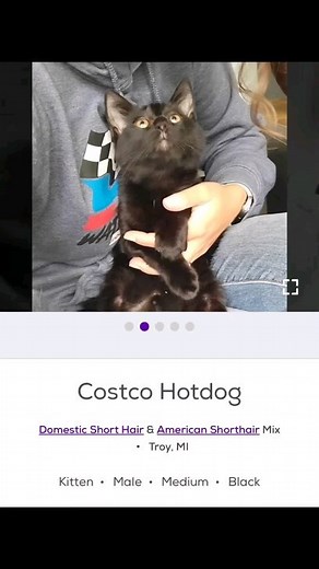 Webm thread on Reels