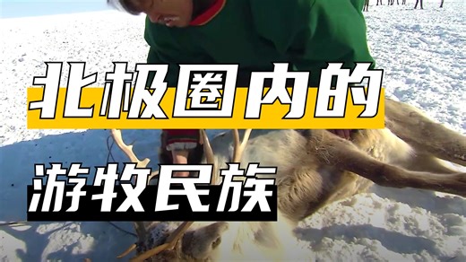 涅涅茨人也有吃生肉的习惯，驯鹿是主要食物来源
