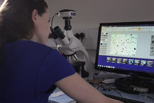 Design and Technology/Chemistry KS3 & KS4: Nano-bubbles and drug delivery