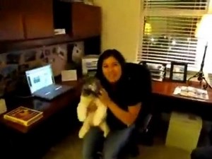 Legitimate Work From Home Jobs in Ontario