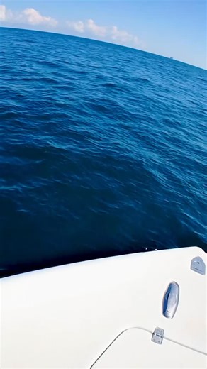 This just gets us fired up. This is the hunting aspect of fishing and when you do find them you better have the right tackle! @pennfishing @mustadfishing @pelagicgear @jygprofishing #tuna #tunafishing #topwater #yellowfin | Fish Circus