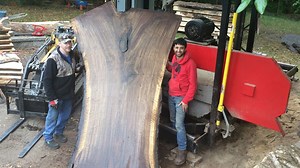 Sawing a Giant Walnut Crotch From Ohio into Slabs