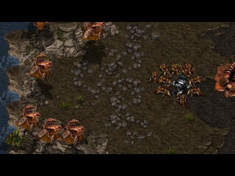 🔥🔥🔥Laddernet 2025.10.1 Flash vs Larva TvZ Set 2 @ Roaring Current | Starcraft Commentary