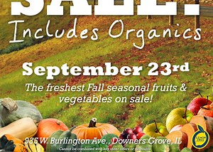 50% Off Fall Produce