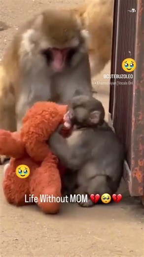 Life without mom 😭😔😔😔😭