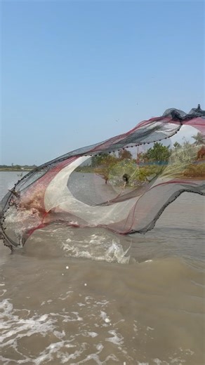 I couldn't control my greed when I saw the fish, so I threw the net far away. #shorts #fishing