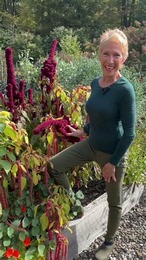 Experimenting is Part of the Fun! What Plants Are You Putting Together?