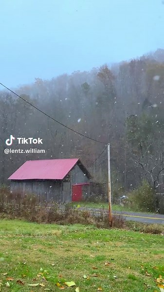 Snow Falling: A Winter Wonderland Experience