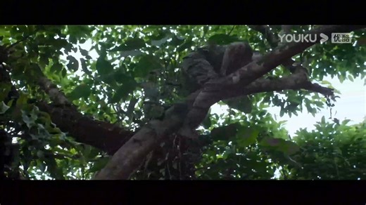 The man was shocked by the giant egg in the snake cave and actually picked up a dagger, smashing it at the egg. 男人被蛇窟的巨蛋震惊，竟拿起匕首朝巨蛋砸去！ #蛇岛狂蟒 #SnakeIslandPython #优酷电影 #youkumovie | Youku Movie