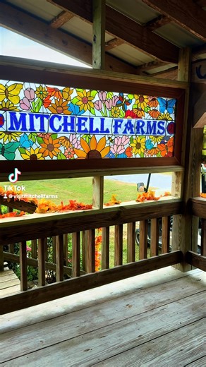 Look at this beauty ❤️ #mitchellfarms #mitchellfarmspumpkinpatch | Mitchell Farms