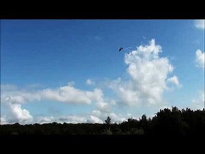 Control Line Combat