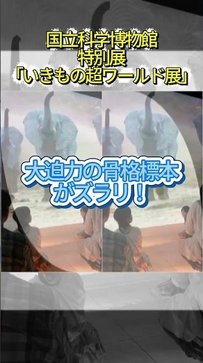 National Museum of Nature and Science Special Exhibition: "The Super World of Living Things" [HaNa]
