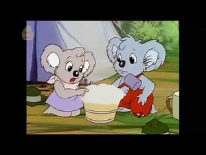 Blinky Bill Season 2 Episode 8 Blinky Bill goes Camping