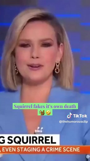 Hilarious Flying Squirrel Crime Scene Prank