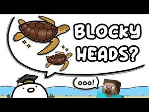 a short lesson on the LOGGERHEAD SEA TURTLE