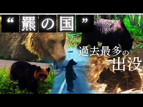 【2023年ヒグマ動画17選】クマ過去最多の出没…「OSO18」「アーバンベア」人里にも頻繁に出没 背景に極端な餌不足