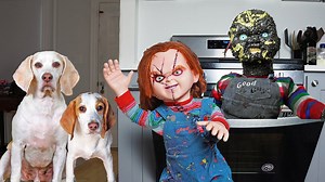 Chucky Gets Melted by Dogs in Halloween Prank